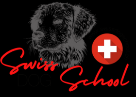 dog training classes zurich SWISS DOG SCHOOL Hundeschule Kloten