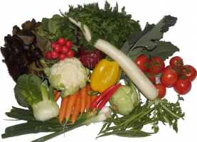 obstkorbe zurich Bischofberger Früchte & Gemüse