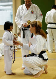 mma klassen zurich Kampfkunst Zürich (Taekwondo Karate Zürich)