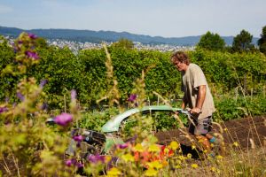 bauernhofe mit tieren zurich Erlebnisbauernhof Martin Stiftung