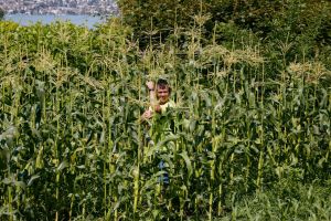 bauernhofe mit tieren zurich Erlebnisbauernhof Martin Stiftung