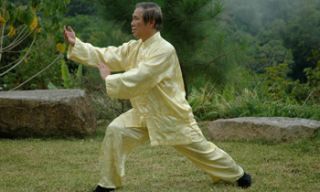 tai chi kurse zurich Wahnam Tai Chi Chuan & Qigong Zürich