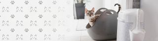hundegeschafte zurich QUALIPET Center Zürich Limmatplatz