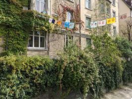 offentliche wohnungen zurich Genossenschaft WOGENO Zürich