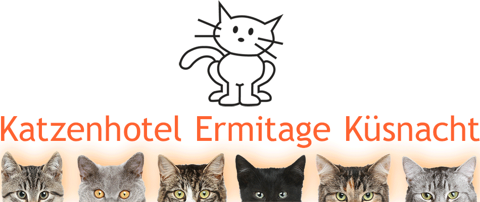 cat accommodation zurich Katzenhotel Ermitage Küsnacht