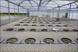 tropfchenbewasserung zurich Plantcare AG