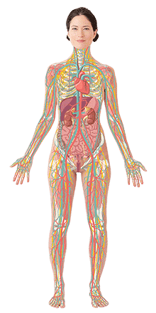 radiologische zentren zurich ARISTRA Zürich | MRI | Radiologisches Zentrum