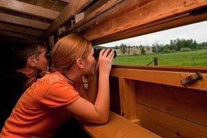 schutzende vogel zurich BirdLife-Naturzentrum Neeracherried