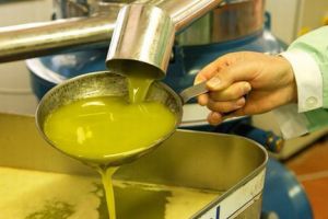 olivenol speichert zurich Olio Sicilia - Paese del Sole