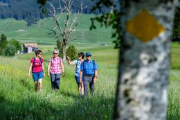 Extra für Sie ausgesuchte Wandervorschläge im Kanon Zug