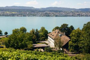 bauernhofe mit tieren zurich Erlebnisbauernhof Martin Stiftung