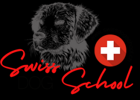 dog day care zurich SWISS DOG SCHOOL Hundeschule Zürich