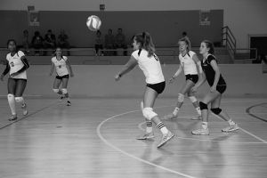 volleyball klassen zurich Leistungszentrum Volleyball Zürich