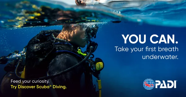 scuba diving lessons zurich PADI Travel