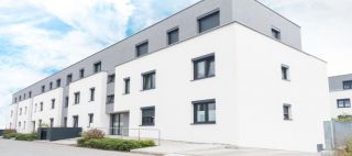 geschafte fur gipskartonplatten zurich Maler Langhart GmbH