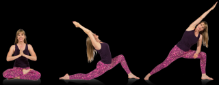 iyengar klassen zurich Yoga Circle - Yvonne Bertogg